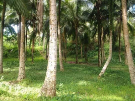  Land for rent in San Pablo City, Laguna, San Pablo City