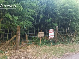  Land for sale in Magdalena, Buenos Aires, Magdalena