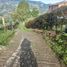 3 Schlafzimmer Haus zu verkaufen in Medellin, Antioquia, Medellin
