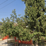 2 Bedroom House for sale in Aguascalientes, Aguascalientes, Aguascalientes, Aguascalientes