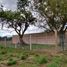  Grundstück zu verkaufen in Dist Zimatlan, Oaxaca, Dist Zimatlan, Oaxaca