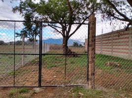  Grundstück zu verkaufen in Dist Zimatlan, Oaxaca, Dist Zimatlan, Oaxaca