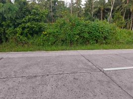  Grundstück zu verkaufen in Negros Oriental, Negros Island Region, Dauin