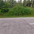  Land for sale in Negros Oriental Negros Island Region, Dauin, Negros Oriental