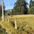  Land for sale in San Joaquin, Azuay, San Joaquin