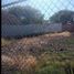  Land for rent in Aguascalientes, Aguascalientes, Aguascalientes