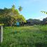  Land for sale in Negros Island Region, Bacong, Negros Oriental, Negros Island Region