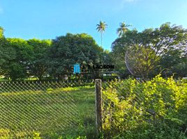  Land for sale in Negros Island Region, Bacong, Negros Oriental, Negros Island Region
