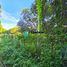  Land for sale in Negros Island Region, Bacong, Negros Oriental, Negros Island Region