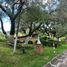  Land for sale in Atlangatepec, Tlaxcala, Atlangatepec