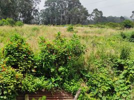  Land for sale in Basilica of the National Vow, Quito, Quito, Quito