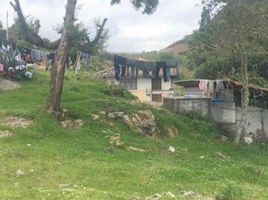  Terreno (Parcela) en venta en Paute, Azuay, San Cristobal (Carlos Ordoñez Lazo), Paute