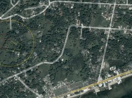  Land for sale in Dalaguete, Cebu, Dalaguete