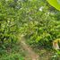  Land for sale in Centro, Tabasco, Centro, Tabasco