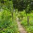  Land for sale in Centro, Tabasco, Centro, Tabasco
