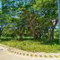  Land for sale in San Juan, Batangas, San Juan