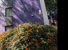 3 Schlafzimmer Appartement zu verkaufen in Miguel Hidalgo, Mexico City, Miguel Hidalgo