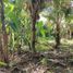  Land for sale in Kerambitan, Tabanan, Kerambitan