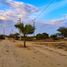  Terreno (Parcela) en venta en Piura, Piura, Piura, Piura