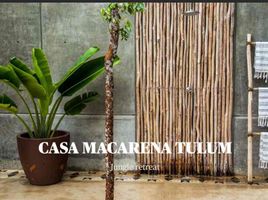 12 Schlafzimmer Haus zu verkaufen in Cozumel, Quintana Roo, Cozumel, Quintana Roo