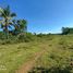  Land for sale in Poro, Cebu, Poro