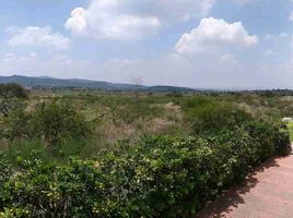  Terreno (Parcela) en venta en Huimilpan, Querétaro, Huimilpan