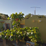 3 Habitación Villa en venta en Manzanillo, Colima, Manzanillo, Colima