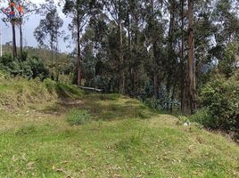  Terreno (Parcela) en venta en Imbabura, San Jose De Quichinche, Otavalo, Imbabura