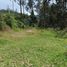  Land for sale in San Jose De Quichinche, Otavalo, San Jose De Quichinche