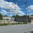  Land for rent in Guadalupe, Nuevo Leon, Guadalupe
