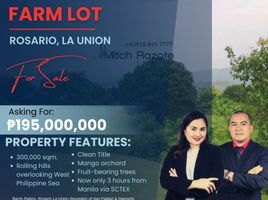  Land for sale in La Union, Ilocos, Rosario, La Union