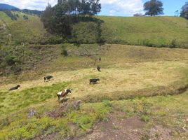  Terreno (Parcela) en venta en Victoria Del Portete (Irquis), Cuenca, Victoria Del Portete (Irquis)