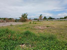  Land for sale in Porac, Central Luzon, Porac, Pampanga