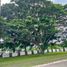  Terreno (Parcela) en venta en Calamba City, Calabarzon, Calamba City