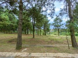  Land for sale in Cavite, Calabarzon, Tagaytay City, Cavite