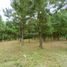  Land for sale in Cavite, Calabarzon, Tagaytay City, Cavite