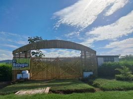  Terreno (Parcela) en venta en San Martín, Tarapoto, San Martín, San Martín