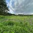  Land for sale in Vilcabamba Victoria, Loja, Vilcabamba Victoria, Loja, Loja