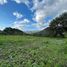  Land for sale in Vilcabamba Victoria, Loja, Vilcabamba Victoria, Loja, Loja