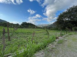  Land for sale in Vilcabamba Victoria, Loja, Vilcabamba Victoria, Loja, Loja