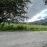  Land for sale in Vilcabamba Victoria, Loja, Vilcabamba Victoria, Loja, Loja