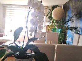 Appartement 2 chambre à vendre à Alvaro Obregon, Mexico City, Alvaro Obregon