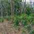  Land for sale in Puerto Princesa City, Mimaropa, Puerto Princesa City, Palawan, Mimaropa