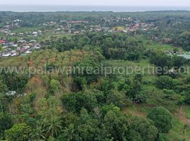  Land for sale in Puerto Princesa City, Mimaropa, Puerto Princesa City, Palawan, Mimaropa