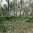  Land for sale in Puerto Princesa City, Mimaropa, Puerto Princesa City, Palawan, Mimaropa