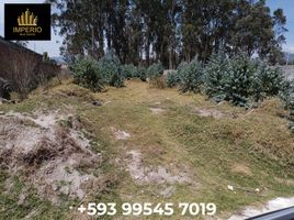  Terreno (Parcela) en venta en Imbabura, Cotacachi, Cotacachi, Imbabura