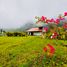 3 Bedroom House for sale in Fortin, Veracruz, Fortin
