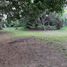  Land for sale in Baler, Central Luzon, Baler, Aurora