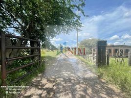 Land for sale in Tlayacapan, Morelos, Tlayacapan