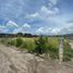  Land for sale in Tlayacapan, Morelos, Tlayacapan